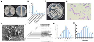 Bacillus velezensis LT1: a potential biocontrol agent for southern blight on Coptis chinensis